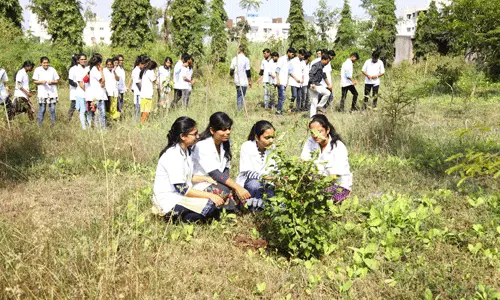Herbal Garden
